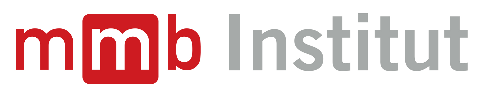mmb Institut GmbH